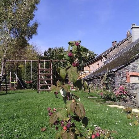 Gite Les 7 Frenes Vaux-sur-Sure Buitenkant foto