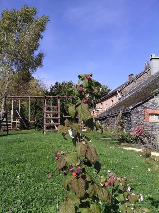 Gite Les 7 Frenes Vaux-sur-Sure Buitenkant foto