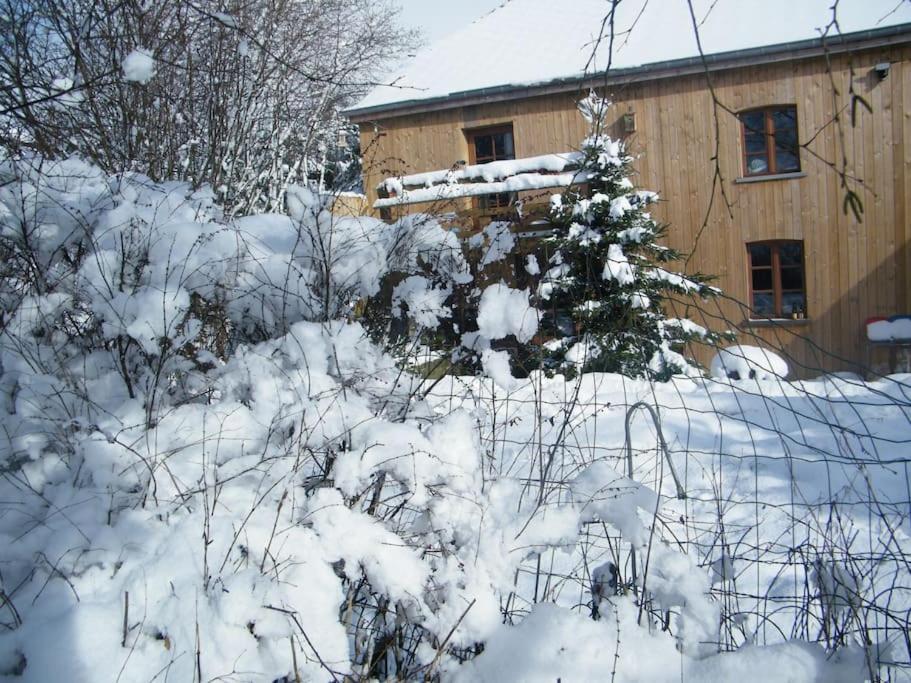 Gite Les 7 Frenes Vaux-sur-Sure Buitenkant foto