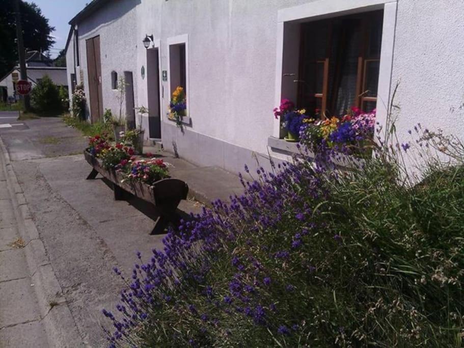 Gite Les 7 Frenes Vaux-sur-Sure Buitenkant foto