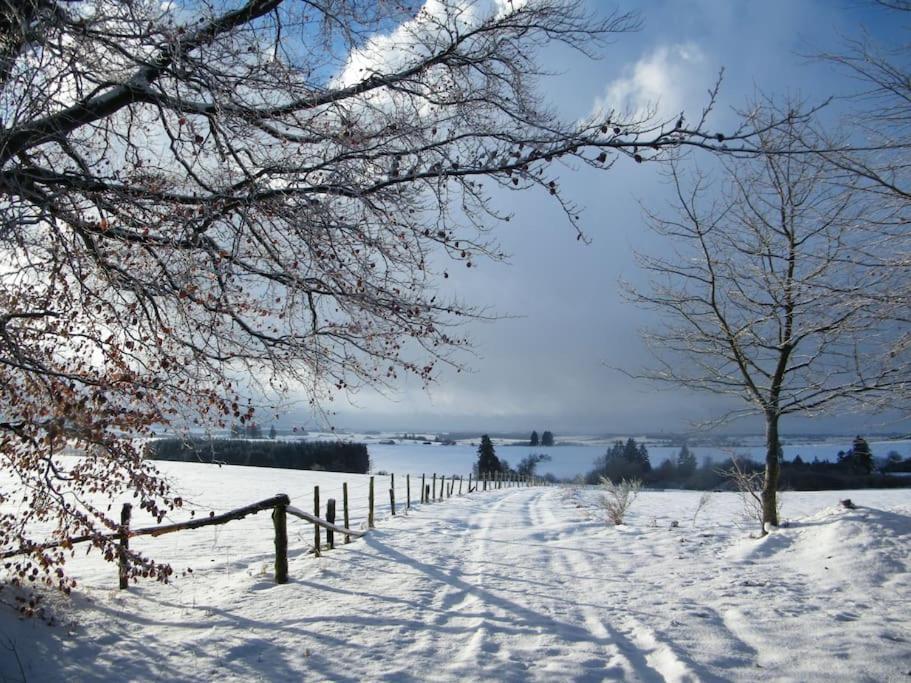 Gite Les 7 Frenes Vaux-sur-Sure Buitenkant foto