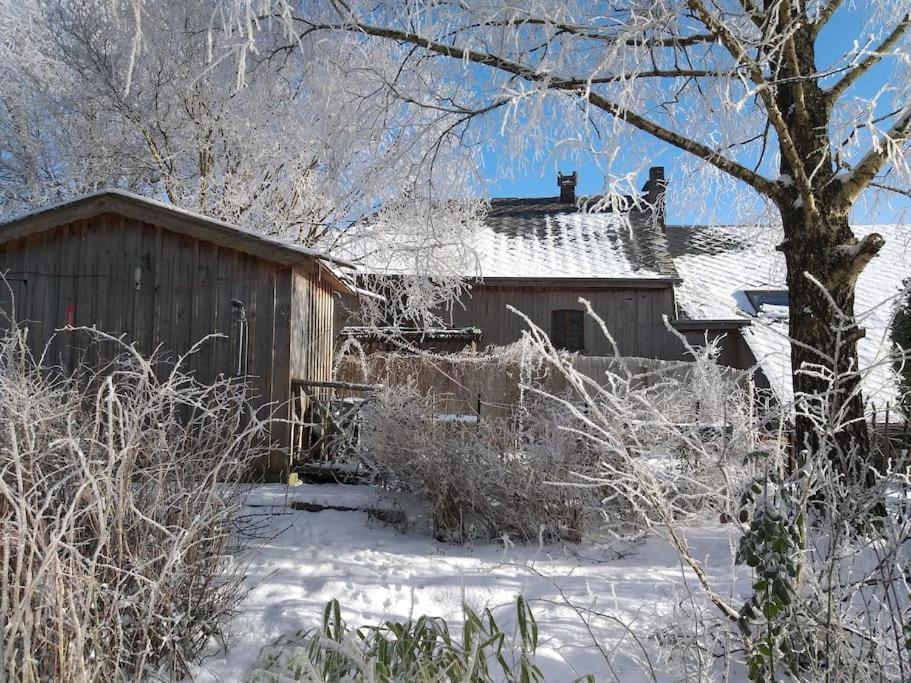 Gite Les 7 Frenes Vaux-sur-Sure Buitenkant foto